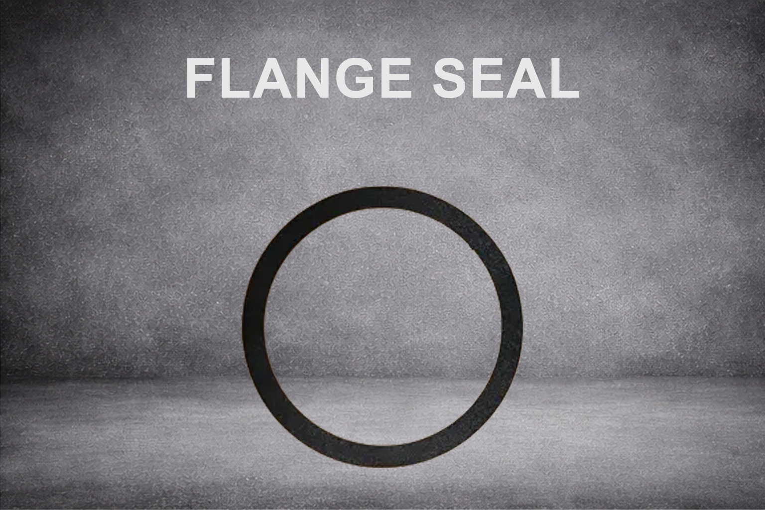 Flange Seals (8 Pack)